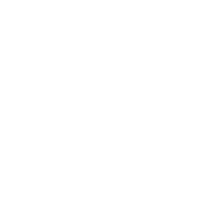 roc DE VINK SECURITY